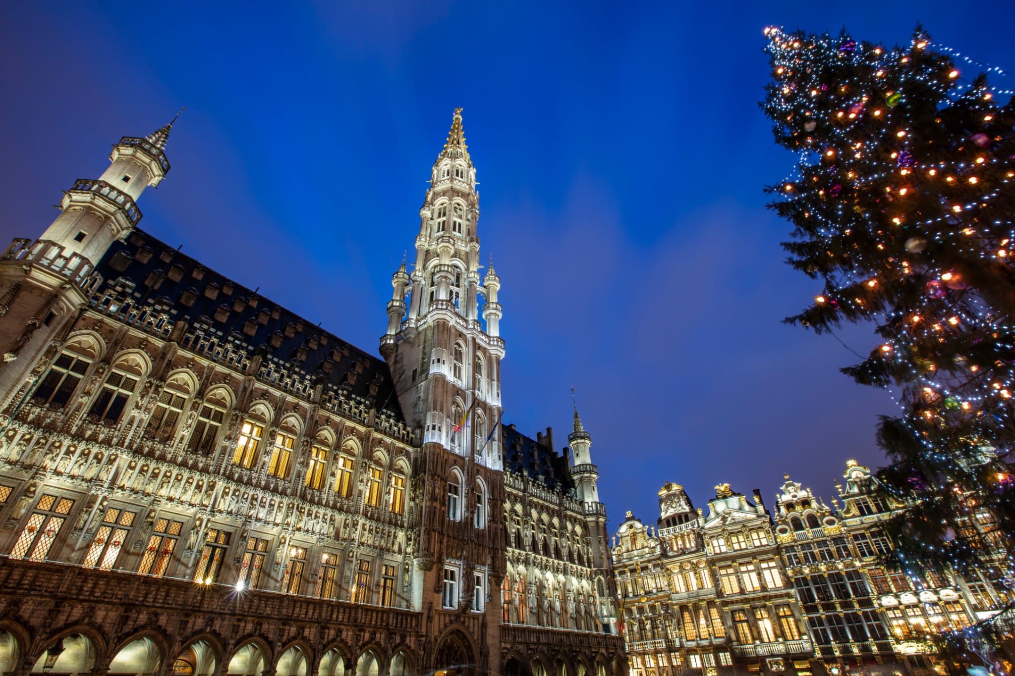 🎄 Christmas Road Trip: From Amsterdam to Brussels (small groups)