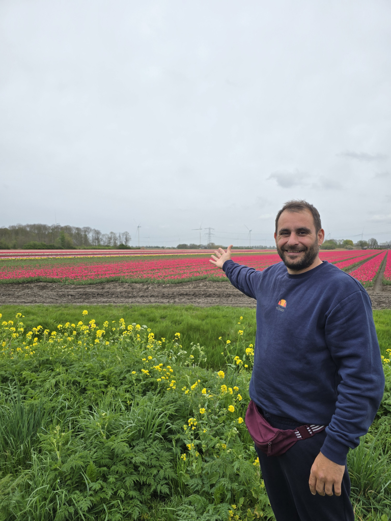 tulips tours authentic