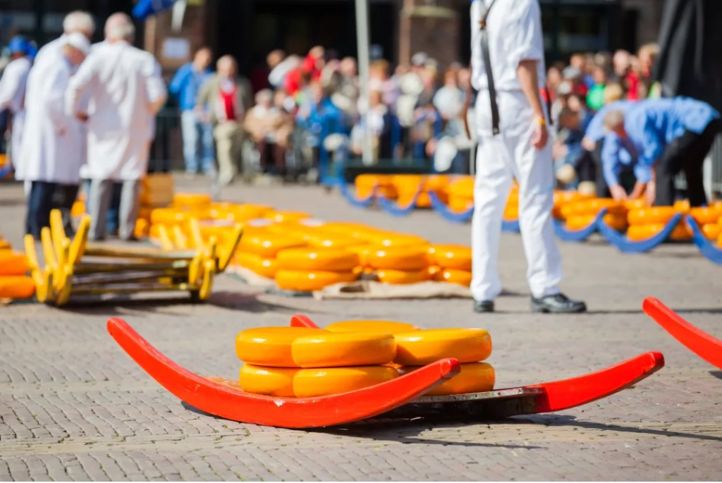 Alkmaar cheese market small-group day trip from Amsterdam, Stop 01