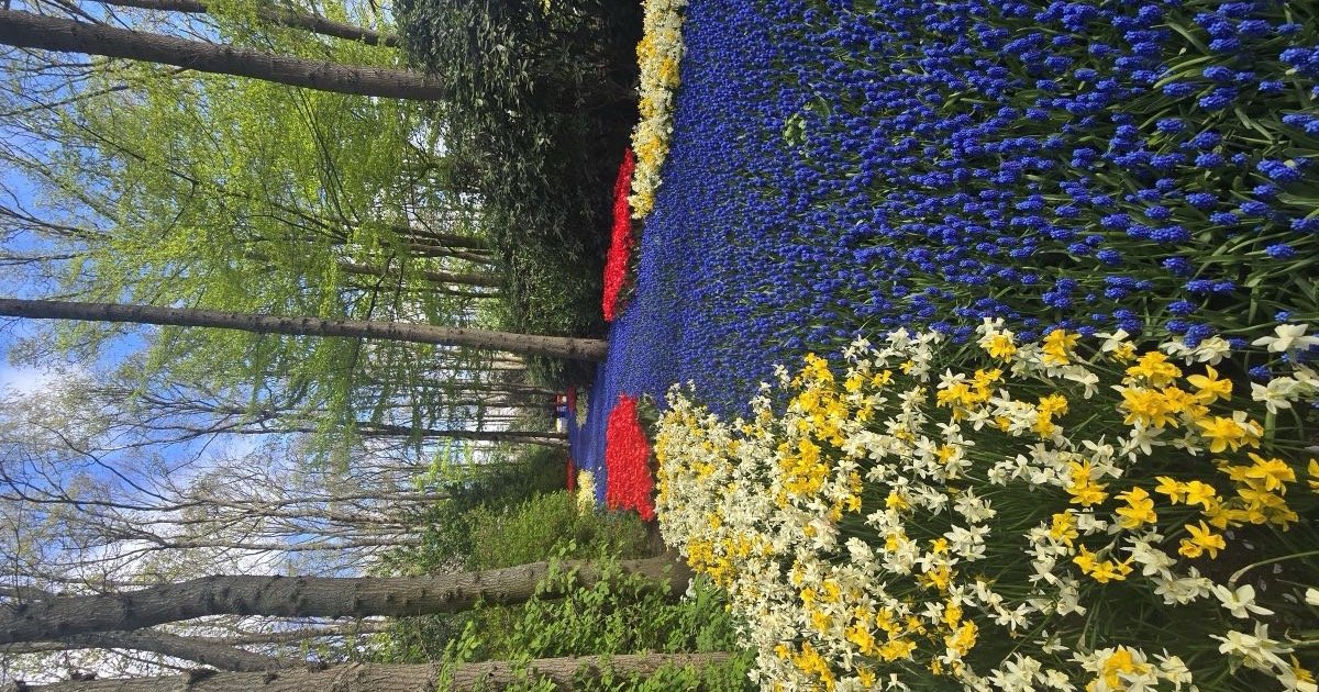 Small Group Tour: From Amsterdam, Keukenhof (tulips), Zaanse Schans, Volendam by Mini-Van
