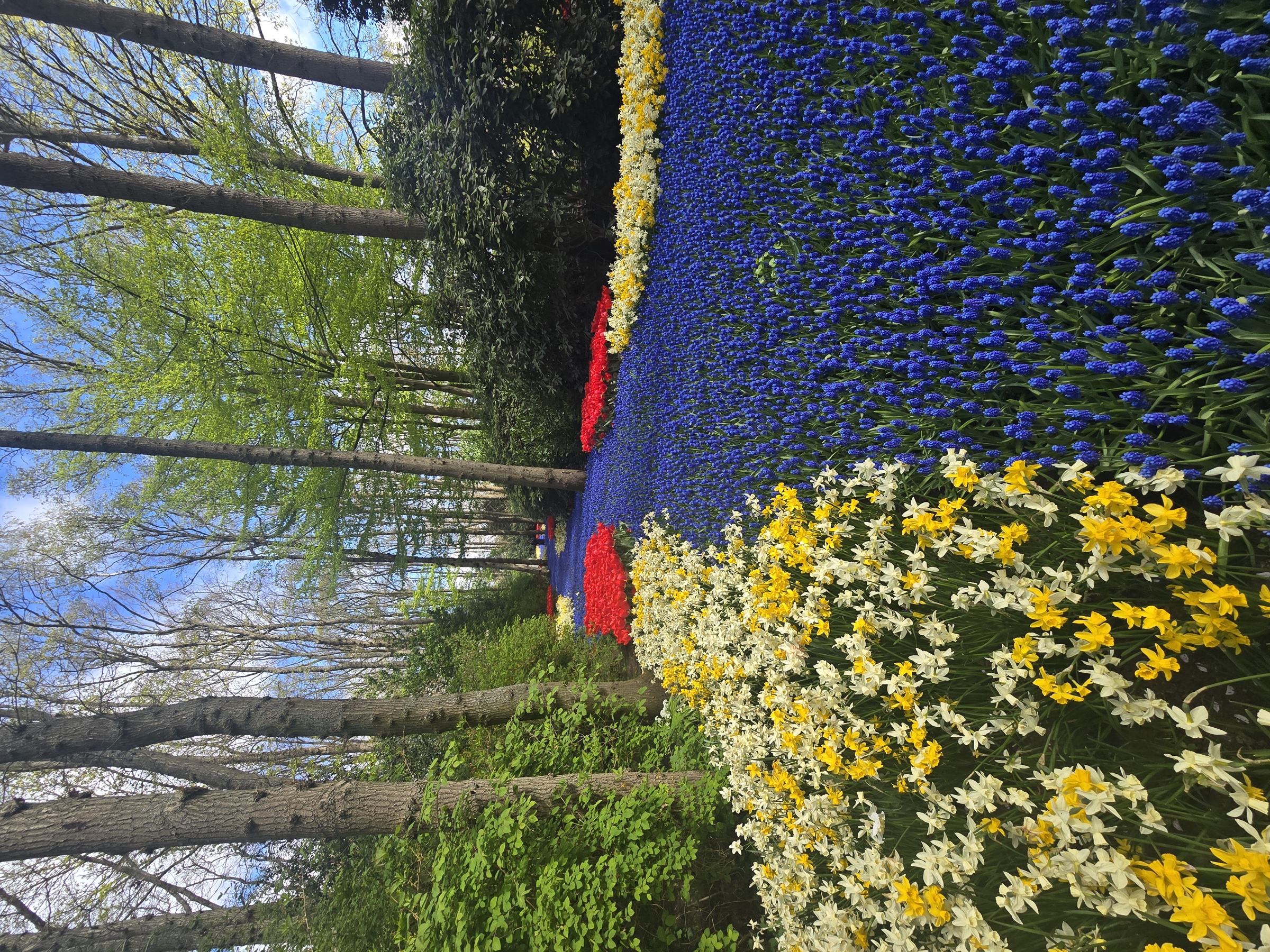 Private Keukenhof, tulip fields and windmills day trip, Atmosphere