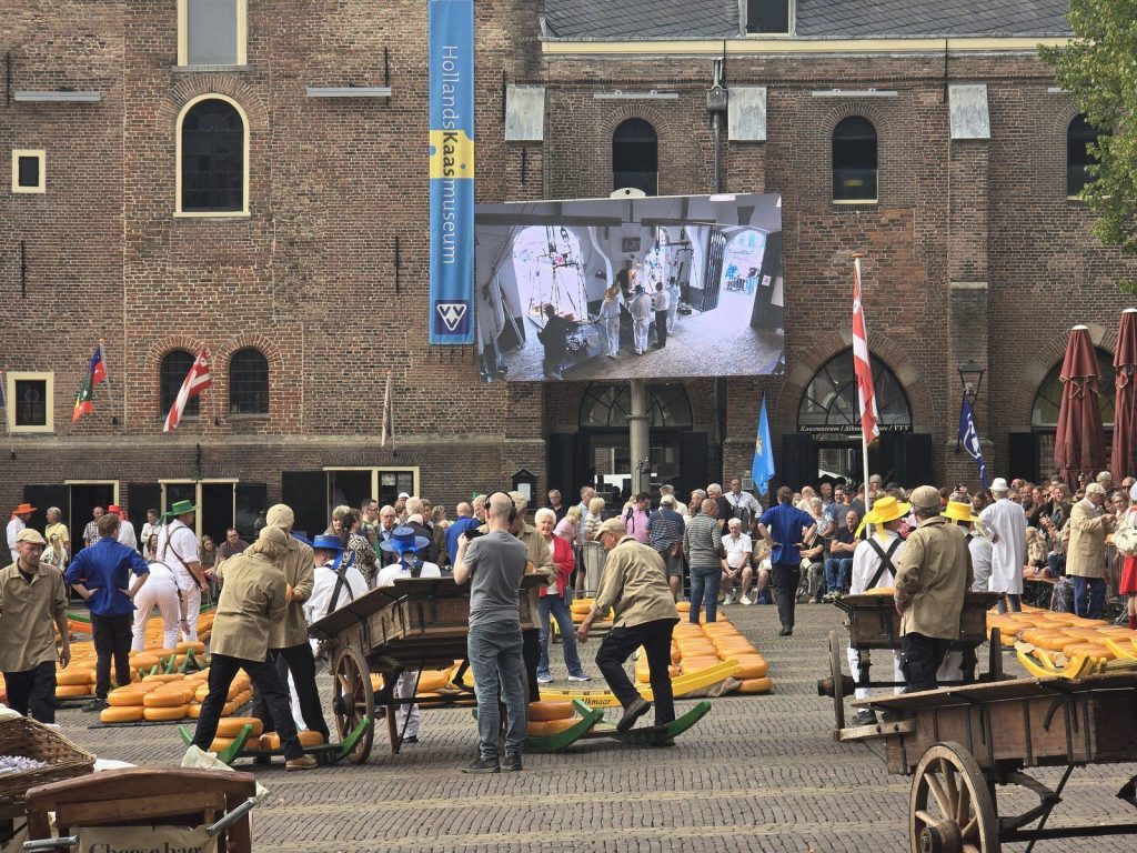 Waagplein square during the Friday cheese market in Alkmaar with carriers, cheese rows and crowds
