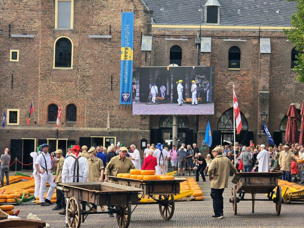 Rows of cheese wheels and carriers in front of the Waag building at the Alkmaar cheese market