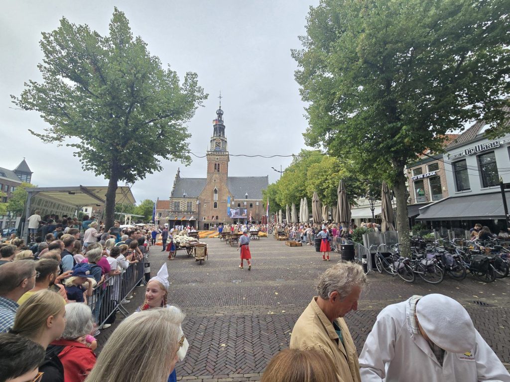 The crowded square of the Alkmaar Friday cheese market under the trees, with the church tower behind