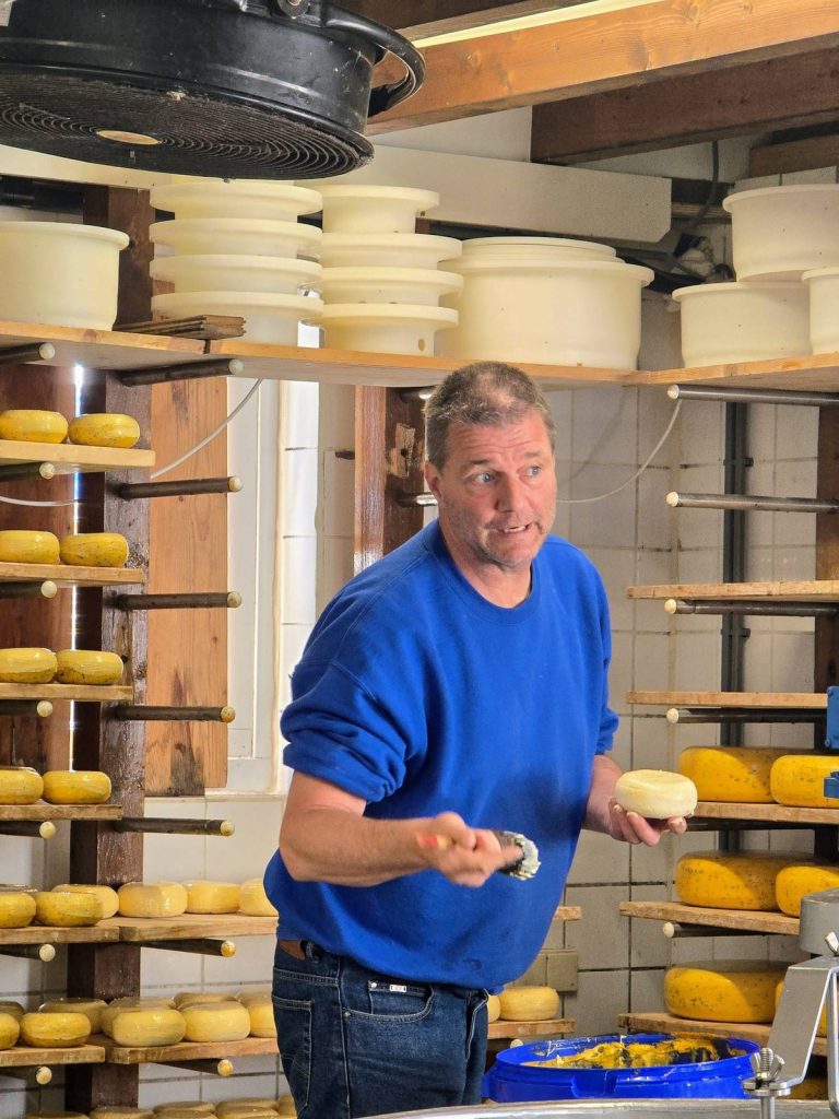 Cheesemaker at the family farm near Monnickendam during the cheese making demonstration