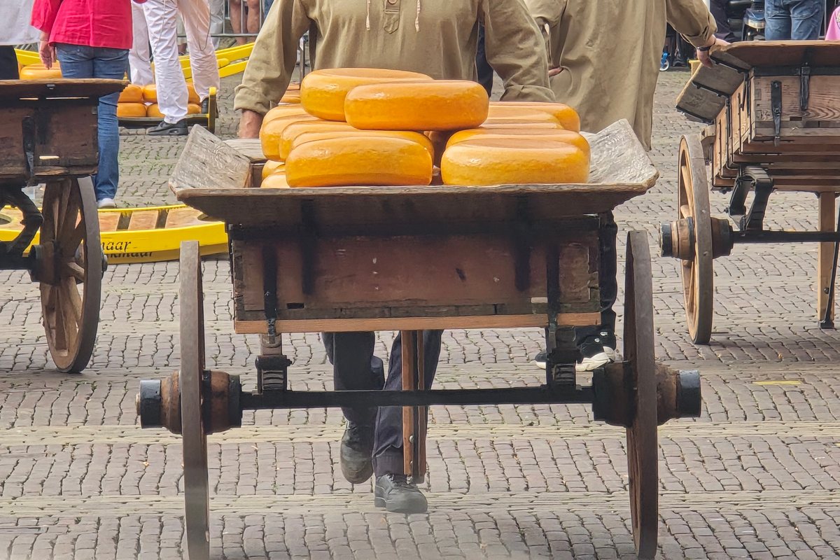 A man in a khaki smock pushes a wooden handcart stacked with round yellow cheeses across a cobbled square, with more carts and a yellow cheese barrow beside him.