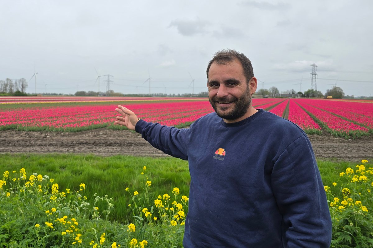 Antonis Iliadis in a navy sweatshirt smiles and gestures with an open hand towards rows of pink tulips, with yellow wildflowers in the foreground and wind turbines and power pylons on the flat horizon under a grey sky.